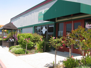 Therapilates studio 2